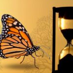 Symbols of Patience